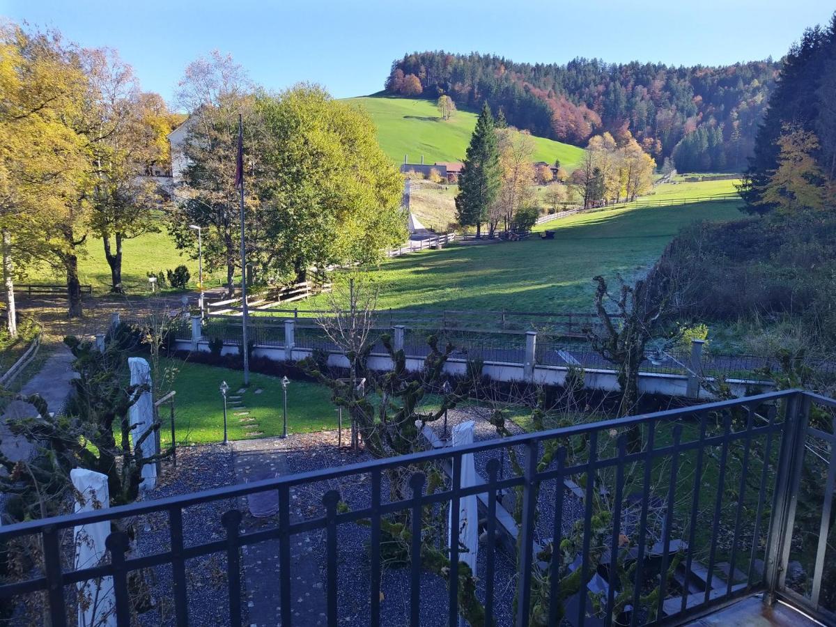 Apartment Meinradsberg Mit Balkon Einsiedeln Exteriör bild